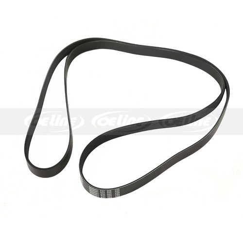 Serpentine Belt for Chevrolet Express 1500 C2500 C3500 K2500 K3500 6PK2440 - Image 3