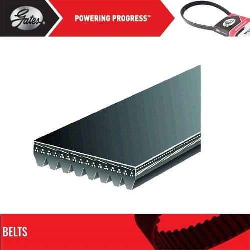 Gates Fan - Alternator - A/C Belt For 2004-2007 FORD F750 V8-6.0L - Image 2
